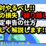 絶対やるべし!!株の損失「繰り越し」確定申告の仕方。詳しく解説します。