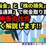 「株の配当」と「株の損失」損益通算で税金を取り戻す!! 確定申告の仕方、詳しく解説します!!