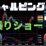【10秒15,600円の利益】ドル円安値ブレイク FX スキャルピング手法