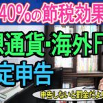 【最大40％の節税！】仮想通貨･海外FXの確定申告と5つの節税方法。やろうぜ！利益調整【暗号資産､ビットコイン､CFD､NFT､DiFi/雑所得･e-tax/経費範囲･損益通算他/FXで大損した過去】