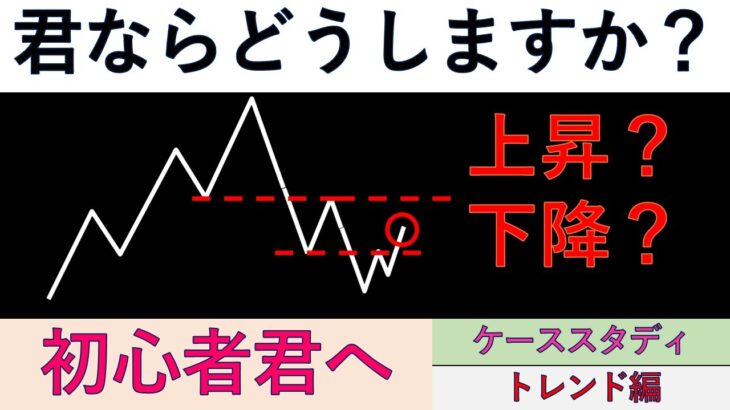これが解ければFX初心者卒業！！トレンド編☆