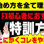 【FX初心者講座】FX初心者におすすめの特訓方法！とにかくこれやってれば上達します【投資家プロジェクト億り人さとし】