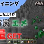 鉄・石炭・エメラルド大量ゲット！？山岳で3日間マイニングした結果…【いまクラ】Part3