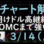 FXチャート解説 3/14（月）～ドル高はFOMCまで続く～