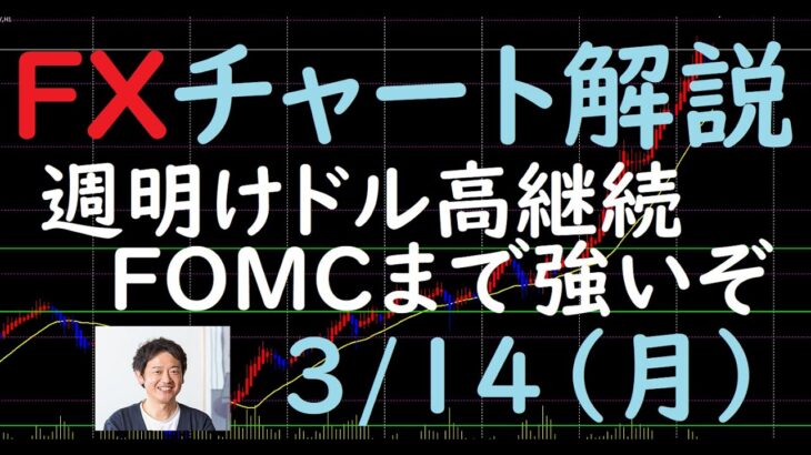 FXチャート解説 3/14（月）～ドル高はFOMCまで続く～