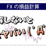 【FXの損益計算】理解せずにトレードするのは危険でっせ〜(・∀・)