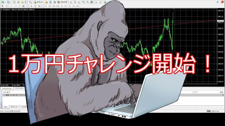 【FX】1万円チャレンジ①　投資初心者による挑戦