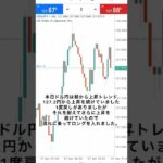 【FX初心者】1日で資金が約16倍！どん底トレーダーのフルレバレッジ取引