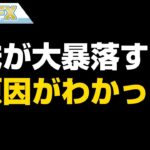 株が大暴落する原因を突き止めました #Shorts