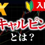 FX スキャルピングとは？ライブ配信中何をしてお金を稼いでいるか説明　Aki 5/2