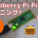 【ラズピコ】Raspberry Pi Picoでマイニングしてみた！【ゆっくり解説】