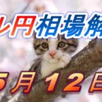 【TAKA FX】ドル円為替相場の前日の動きをチャートから解説。日経平均、NYダウ、金チャートも。5月12日