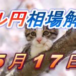 【TAKA FX】ドル円為替相場の前日の動きをチャートから解説。日経平均、NYダウ、金チャートも。5月17日