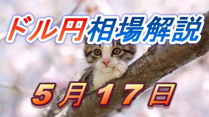 【TAKA FX】ドル円為替相場の前日の動きをチャートから解説。日経平均、NYダウ、金チャートも。5月17日