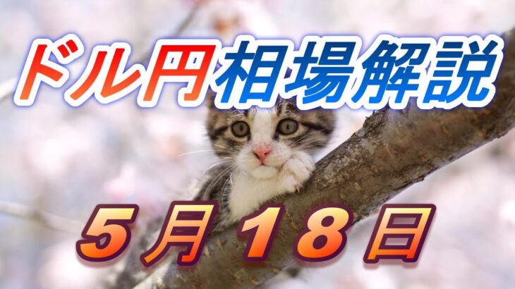 【TAKA FX】ドル円為替相場の前日の動きをチャートから解説。日経平均、NYダウ、金チャートも。5月18日