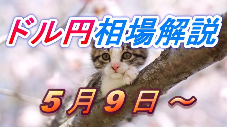 【TAKA FX】ドル円為替相場の今週の動きと来週の展望をチャートから解説。日経平均、NYダウ、金チャートも。5月9日～
