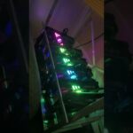 マイニング、もう少し早くやってれば…