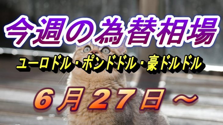【TAKA FX】ユーロドル、ポンドドル、豪ドルドルの今週の為替相場の動きと来週の展望をチャートから解説。6月27日～
