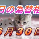 【TAKA FX】ドル、円、ユーロ、ポンド、豪ドルの為替相場の前日の動きをチャートから解説。6月30日