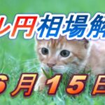 【TAKA FX】ドル円為替相場の前日の動きをチャートから解説。日経平均、NYダウ、金チャートも。6月15日