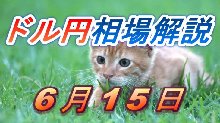 【TAKA FX】ドル円為替相場の前日の動きをチャートから解説。日経平均、NYダウ、金チャートも。6月15日