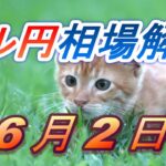 【TAKA FX】ドル円為替相場の前日の動きをチャートから解説。日経平均、NYダウ、金チャートも。6月2日