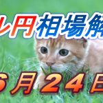 【TAKA FX】ドル円為替相場の前日の動きをチャートから解説。日経平均、NYダウ、金チャートも。6月24日