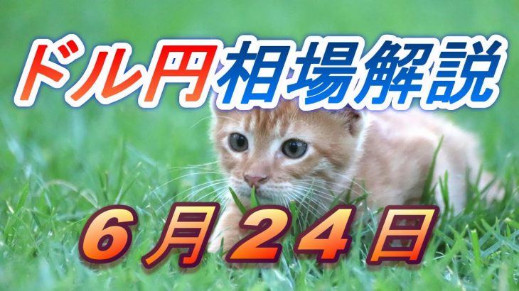 【TAKA FX】ドル円為替相場の前日の動きをチャートから解説。日経平均、NYダウ、金チャートも。6月24日