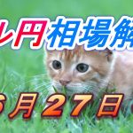 【TAKA FX】ドル円為替相場の今週の動きと来週の展望をチャートから解説。日経平均、NYダウ、金チャートも。6月27日～