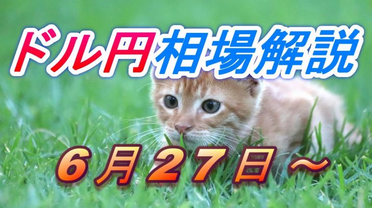 【TAKA FX】ドル円為替相場の今週の動きと来週の展望をチャートから解説。日経平均、NYダウ、金チャートも。6月27日～