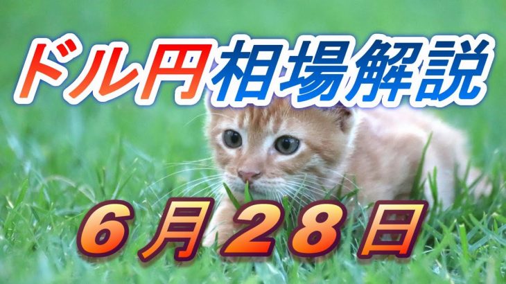 【TAKA FX】ドル円為替相場の前日の動きをチャートから解説。日経平均、NYダウ、金チャートも。6月28日