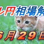 【TAKA FX】ドル円為替相場の前日の動きをチャートから解説。日経平均、NYダウ、金チャートも。6月29日