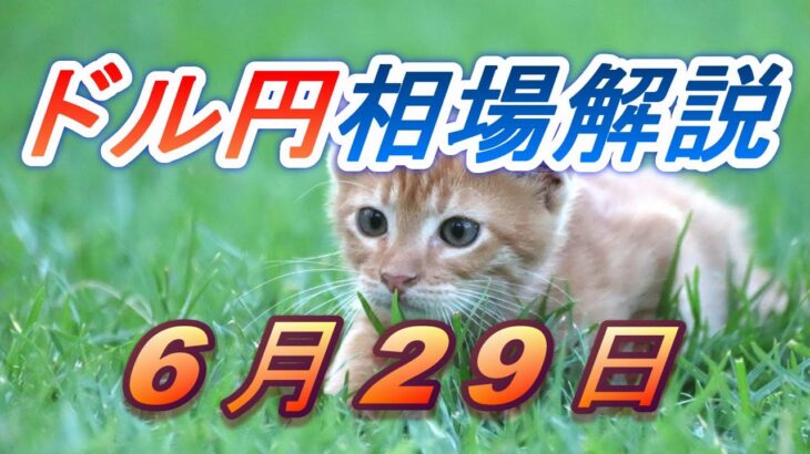 【TAKA FX】ドル円為替相場の前日の動きをチャートから解説。日経平均、NYダウ、金チャートも。6月29日