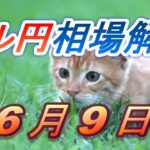 【TAKA FX】ドル円為替相場の前日の動きをチャートから解説。日経平均、NYダウ、金チャートも。6月9日
