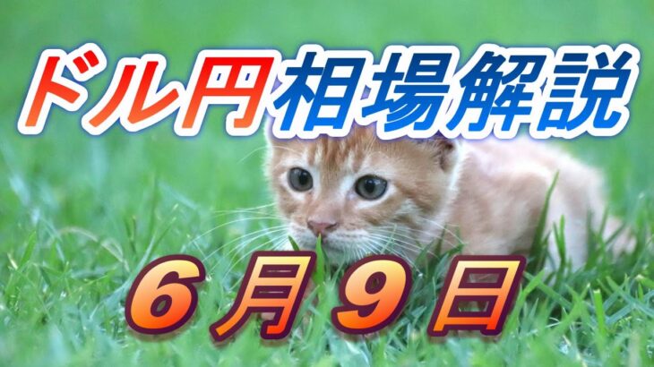 【TAKA FX】ドル円為替相場の前日の動きをチャートから解説。日経平均、NYダウ、金チャートも。6月9日