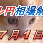 【TAKA FX】ドル円為替相場の前日の動きをチャートから解説。日経平均、NYダウ、金チャートも。7月1日