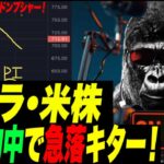 【予想的中！】米株・テスラ急落開始でゴリに夢中！ビットコイン$12,000まで行くか？！