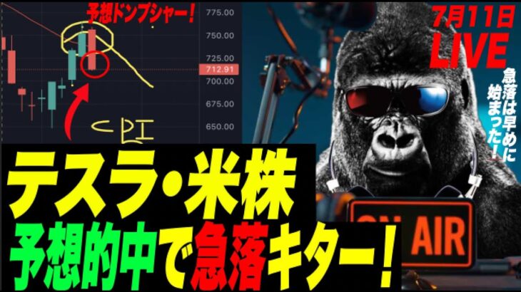 【予想的中！】米株・テスラ急落開始でゴリに夢中！ビットコイン$12,000まで行くか？！