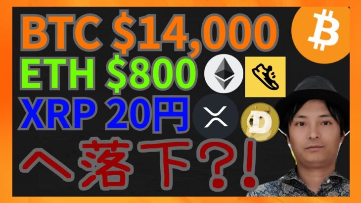 ビットコイン$14,000 イーサリアム$800 リップル20円へ落下？　仮想通貨ニュース+BTC ETH XRP FITFI DOGE