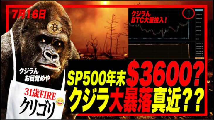 【暴落警報】ビットコイン大暴落の兆候！クジラんお目覚めで14000BTCをExchangeに投入！次の大暴落を雪崩で引き起こすか？SP500は年末$3600？