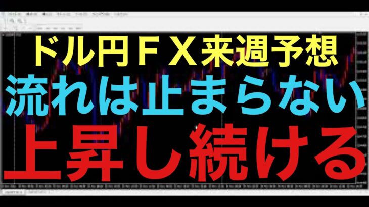 【ドル円FX予想最新】何日間か調整が入る可能性あると思いますが、来週も流れが変わらずに、上昇トレンド続くと思います！