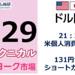 FX/為替予想  「ドル/円、21：30 米個人消費・PEC 、131円台？ショートカバー？」見通しズバリ！3分テクニカル分析 ニューヨーク市場の見通し　2022年7月29日
