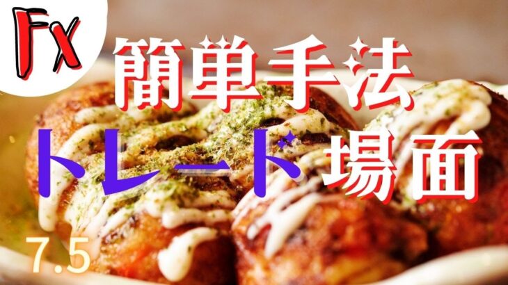 【FX初心者セミナー】 簡単手法トレード場面解説  EURJPY 20220705
