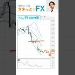 FX予想「ドル円、まだまだ下がる。135円を割り込み下落が優勢！」2022/7/28　今日のおすすめFXトレード案を1分で
