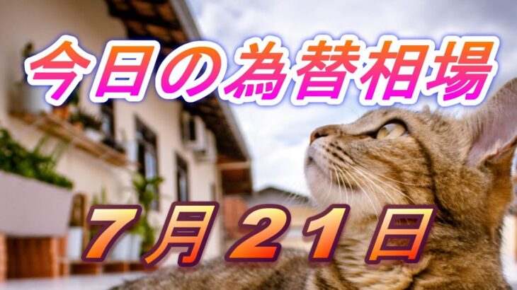 【TAKA FX】ドル、円、ユーロ、ポンド、豪ドルの為替相場の前日の動きをチャートから解説。7月21日