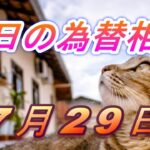 【TAKA FX】ドル、円、ユーロ、ポンド、豪ドルの為替相場の前日の動きをチャートから解説。7月29日