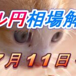 【TAKA FX】ドル円為替相場の今週の動きと来週の展望をチャートから解説。日経平均、NYダウ、金チャートも。7月11日～
