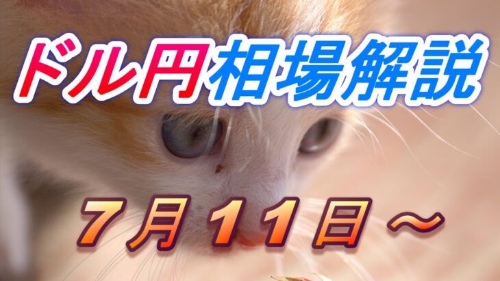 【TAKA FX】ドル円為替相場の今週の動きと来週の展望をチャートから解説。日経平均、NYダウ、金チャートも。7月11日～