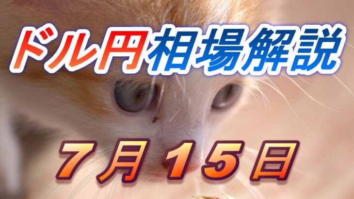 【TAKA FX】ドル円為替相場の前日の動きをチャートから解説。日経平均、NYダウ、金チャートも。7月15日
