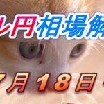 【TAKA FX】ドル円為替相場の今週の動きと来週の展望をチャートから解説。日経平均、NYダウ、金チャートも。7月18日～